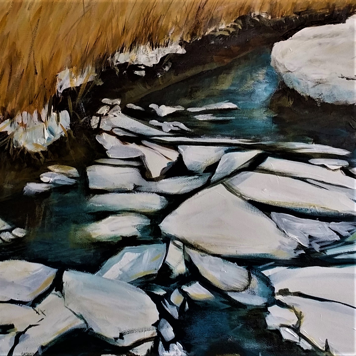 Tidal Creek.jpg