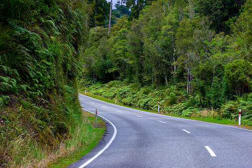 road.jpg