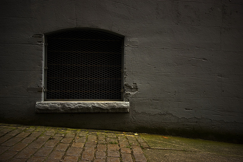 window.jpg